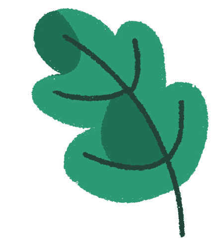 A drawing of a leaf.